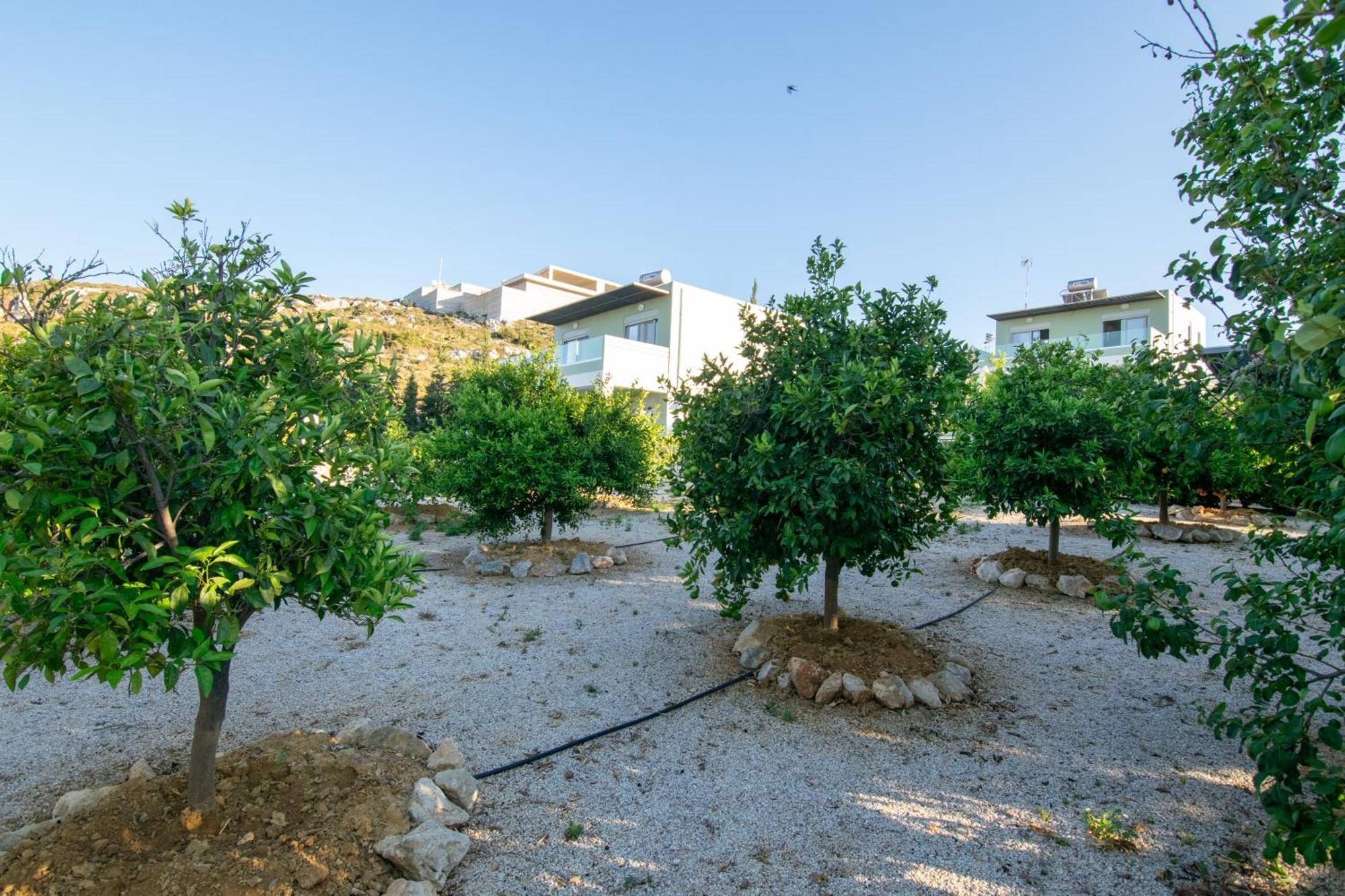 Κatakis Villas Agios Onoufrios Eksteriør billede