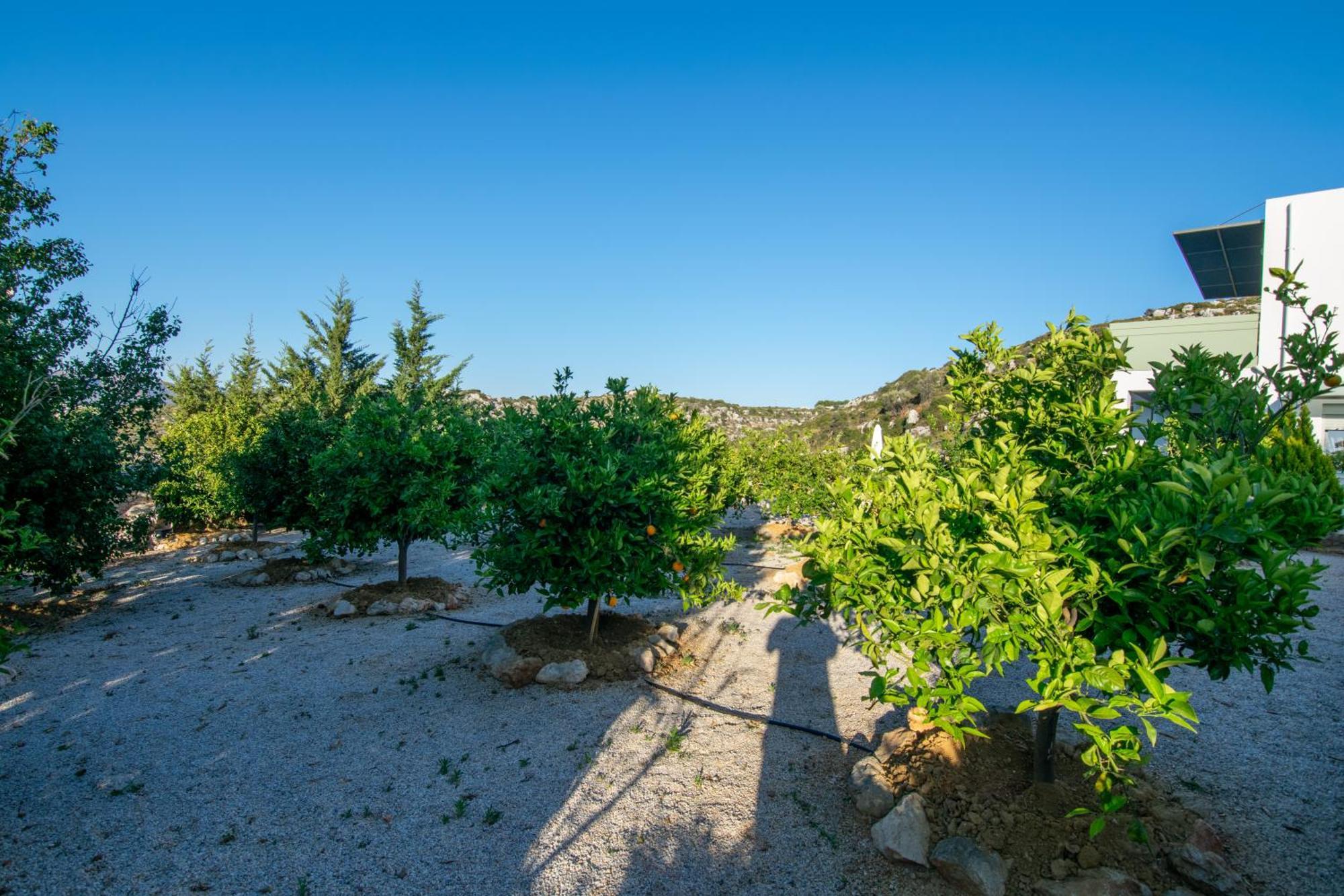 Κatakis Villas Agios Onoufrios Eksteriør billede